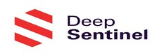 Deep Sentinel Review