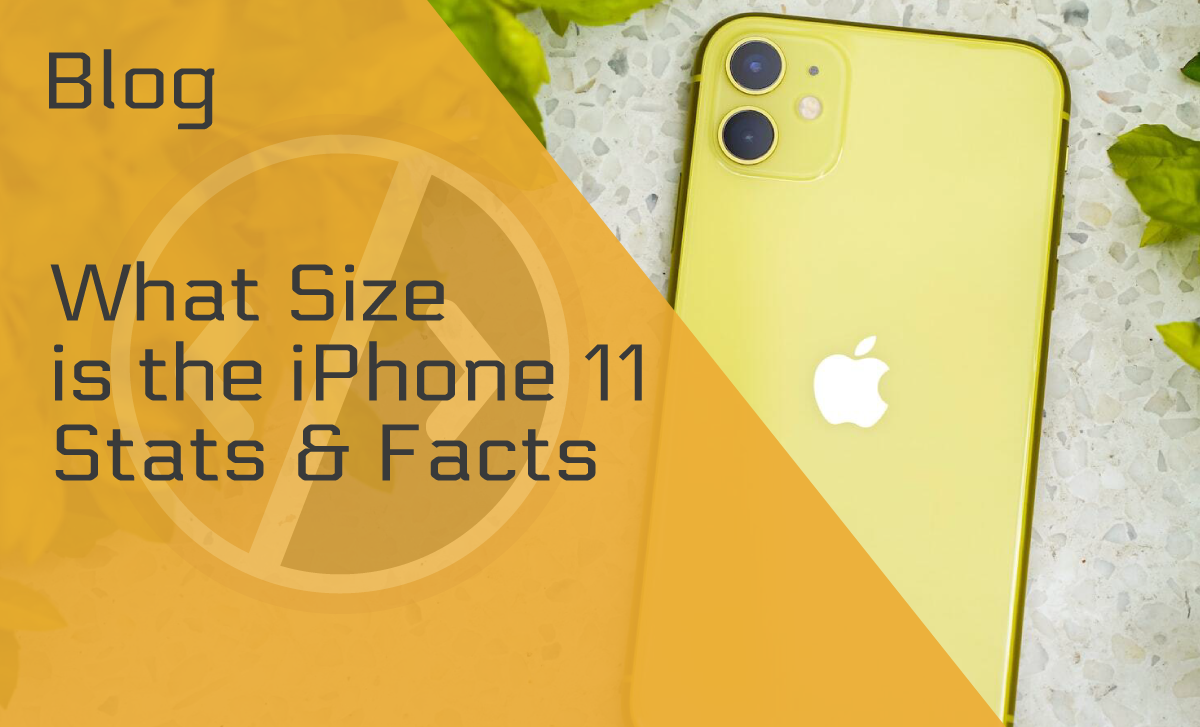 What Size is the iPhone 11?